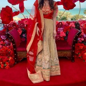 COPY - Lehenga Lengha Indian Wedding Skirt Crop T…